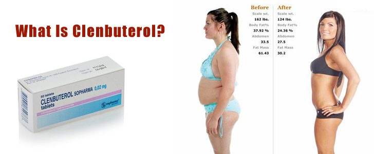 Clenbuterol Weight Loss Female Hormone